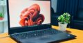 Lenovo Thinkpad E15 i5 10th 8GB RAM 256GB SSD