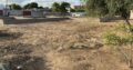 Terreno 30×40 Mozal Djonasse