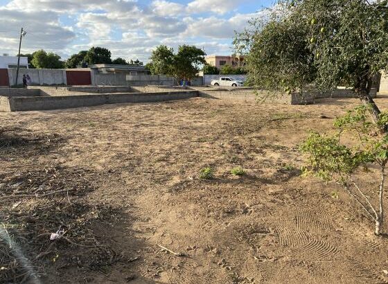 Terreno 30×40 Mozal Djonasse