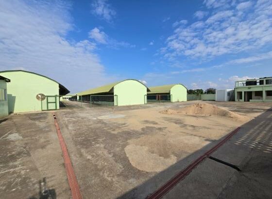 Vende-se Aviário em Maputo