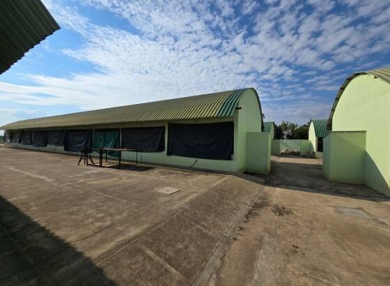 Vende-se Aviário em Maputo