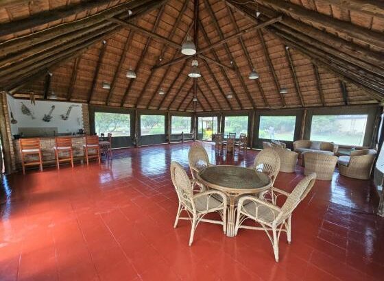 Vende-se Propriedade ( Quinta ) na Matola