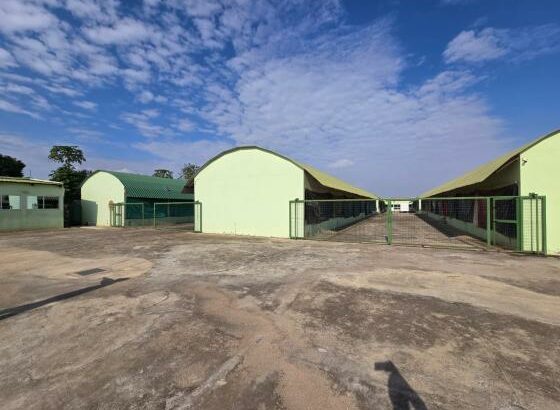 Vende-se Aviário em Maputo