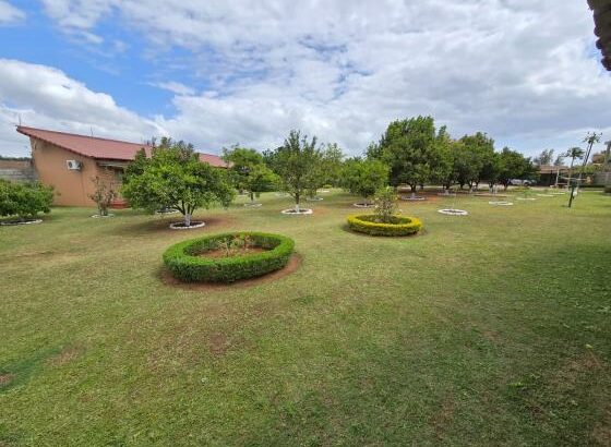 Vende-se Propriedade ( Quinta ) na Matola