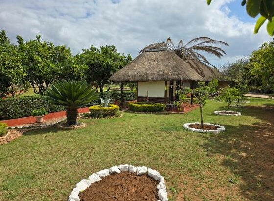Vende-se Propriedade ( Quinta ) na Matola