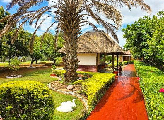 Vende-se Propriedade ( Quinta ) na Matola