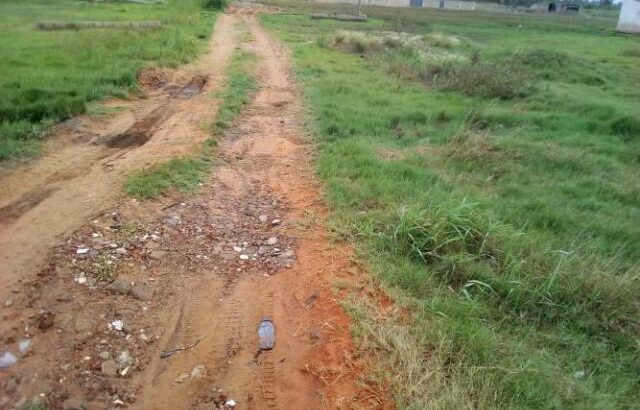 Chiango: Terreno 20/25 Zona Privilegiada