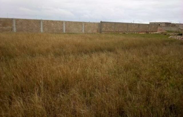 Chiango Zona VIP: Trespasso Terreno 20/25
