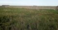 Chiango Zona VIP: Trespasso Terreno 20/25