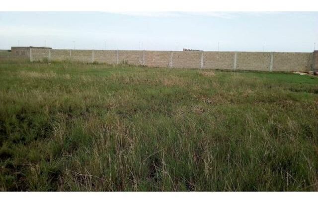 Chiango Zona VIP: Trespasso Terreno 20/25
