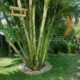 VENDE-SE moradia T3 no Triunfo Velho