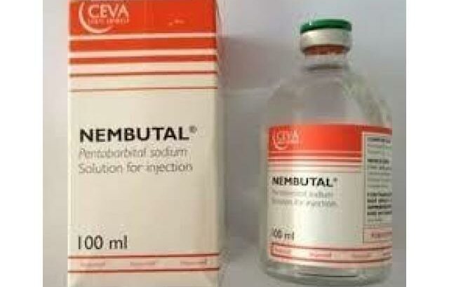 Nembutal (pentobarbital) sem receita médica