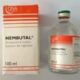 Nembutal (pentobarbital) sem receita médica