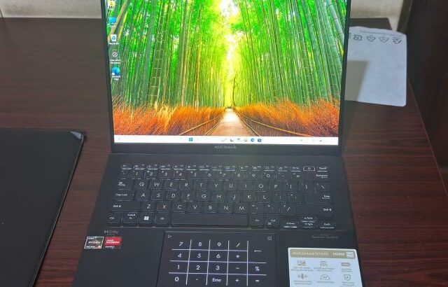 Asus ZenBook OLED, AMD Ryzen 5, 13TH Gen Executivo