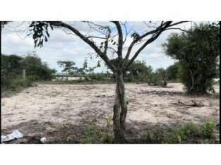 Trespasse De Terreno Na Macaneta, Marracuene, na berma do rio Incomati com area de 2700 m2