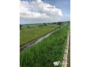 Terreno 100/1500 (15 Hectares) na Circular Muntanhana