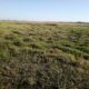Terreno 100/1500 (15 Hectares) na Circular Muntanhana