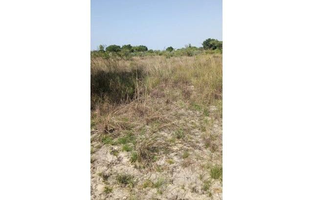Trespasse de espaço 15/30 na Santa Isabel chiboene
