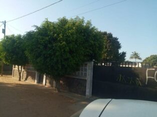 Bairro da Liberdade