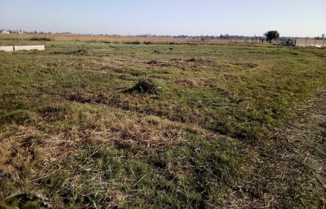 Terreno na Circular: 30 Hectares Muntanhana Marracuene
