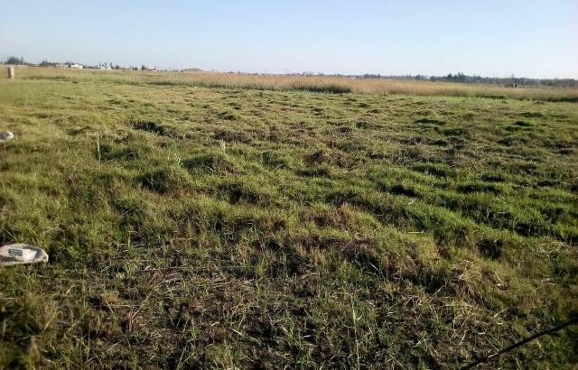 Terreno na Circular: 30 Hectares Muntanhana Marracuene