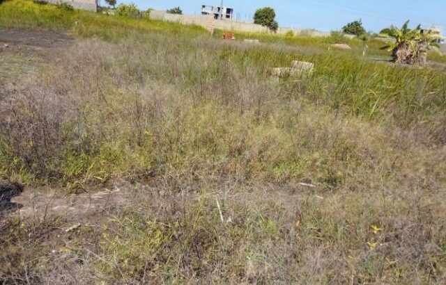 Chiango Frente Bombas Petromoc e Armazéns: Terreno 20/25