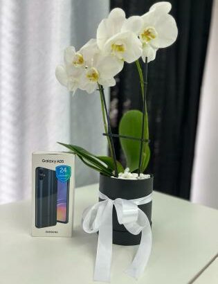 Lista actualizada  *SAMSUNG* Mês de Junho  ❤️  *Garantia 1 ano*  -A05 64gb rom + 4gb ram  Nr 7.900,00mzn 1 ano ✅🇲🇿 promoção   -A05 128gb rom + 4gb r