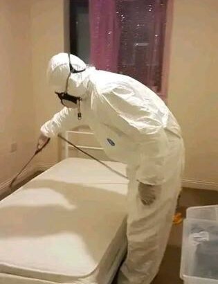 Serviços de fumigação & Limpeza ao domicílio