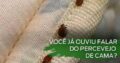 Serviços de fumigação & Limpeza ao domicílio