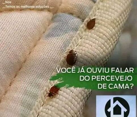 Serviços de fumigação & Limpeza ao domicílio