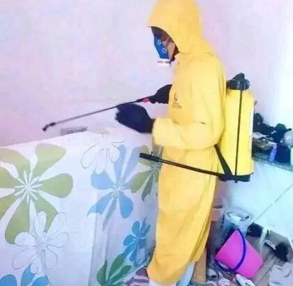 Serviços de fumigação & Limpeza ao domicílio