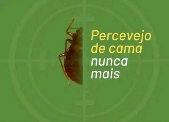 Serviços de fumigação & Limpeza ao domicílio