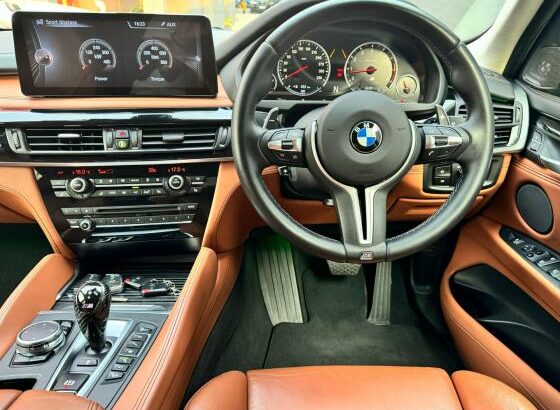 BMW X5M INDIVIDUAL V8 TWINTURBO