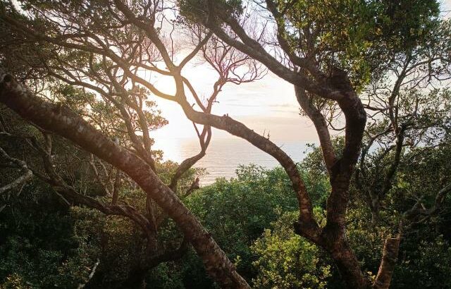 Chalete a venda na ponta de ouro vista ao mar