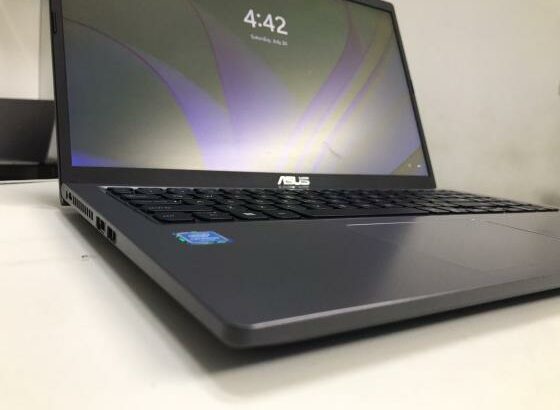 ASUS Vivobook Intel Celeron N4020 10th 8GB RAM 256GB SSD Novo