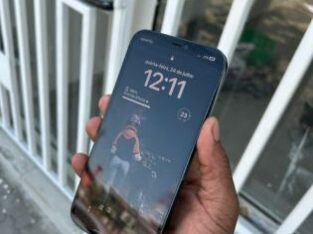 iPhone 12 Pro Max 100% aproveita