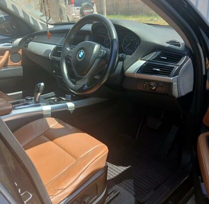 BMW X5 2011 Panorâmico