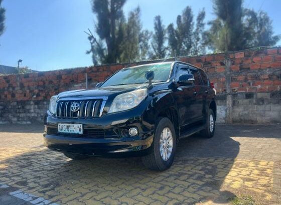 Toyota Land Cruiser Prado 2010 Comprado no Agente