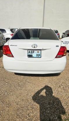 Toyota Axio 2008 4WD