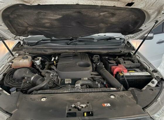 Ford | Ranger Wildtrak | 2019 | Automática | 3.2 | 4×4 🎁