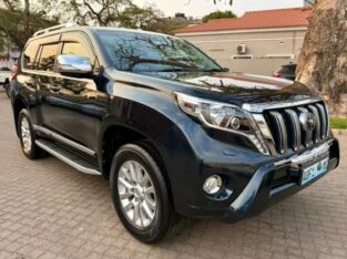 Toyota Land Cruiser Prado 2016 Recém Chegado