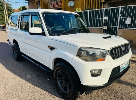 MAHINDRA | S10 | 2019 | MANUAL | 2.5 | 4×4 🎁