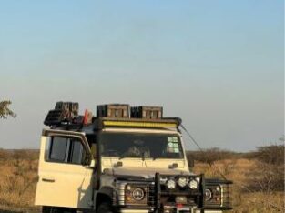 LAND ROVER | DEFENDER | 1996 | 2.5 | 4×4 🎁