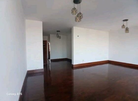 Vende se apartamento novo tipo 3 com 2wc na polana cimento zona Nobre avenida mau tse tung