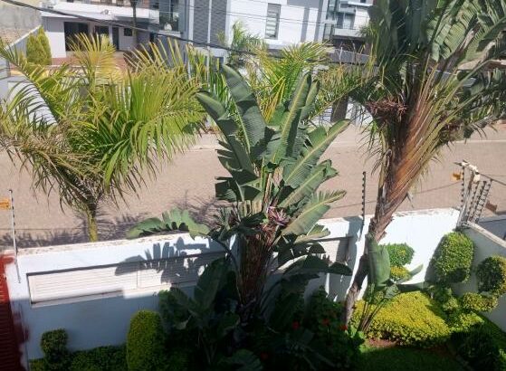 VENDO MORADIA DÚPLEX T-4 (3 SUITES*)
2 SALAS, PISCINA, DEPENDÊNCIA, 
COZINHA MODERNA AMPLA EQUIPADA, TRIUNFO 2 AO VALOR DE 25.000.000 MTS NEGÓCIAVEL