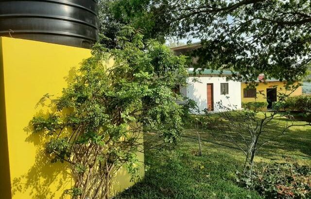 Vende-se 6 Hectares na ponta do ouro