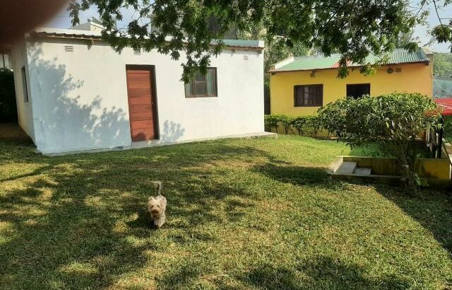 Vende-se 6 Hectares na ponta do ouro