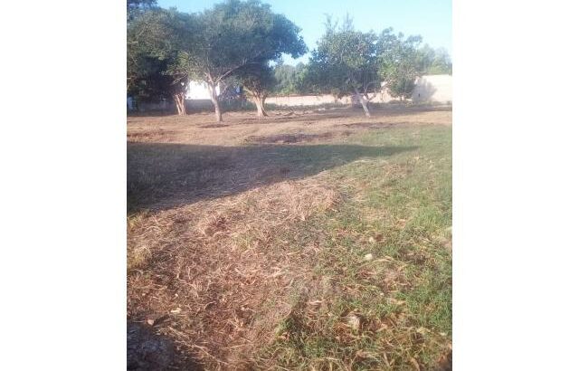 Chiango: Terreno 50/70 c/ Muro Próx. Condomínios SS Construções