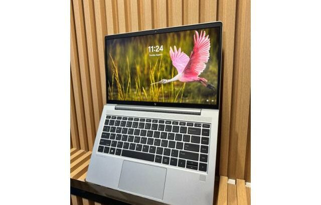 HP Elitebook G9, AMD Ryzen 5 with Radeon Graphics 12th Gen.