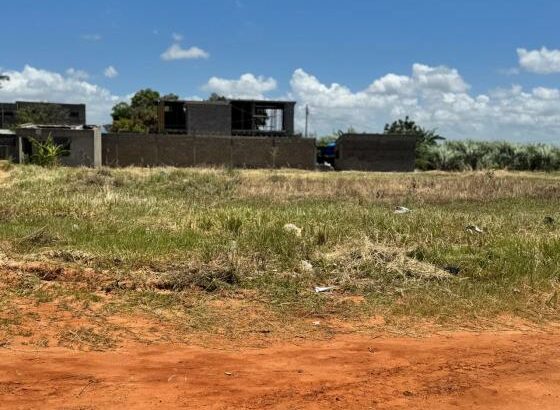 Fracção 50x50m na Costa do Sol – Dona Alice